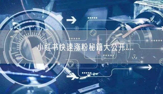 小红书快速涨粉秘籍大公开！