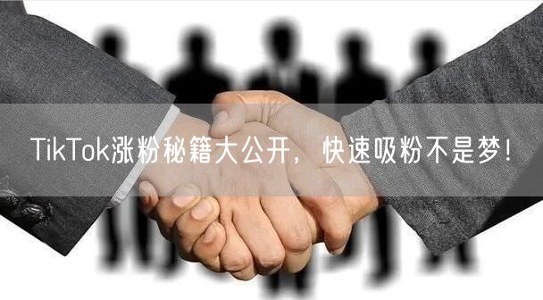 TikTok涨粉秘籍大公开，快速吸粉不是梦！