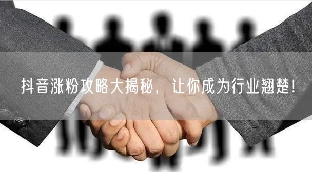 抖音涨粉攻略大揭秘，让你成为行业翘楚！